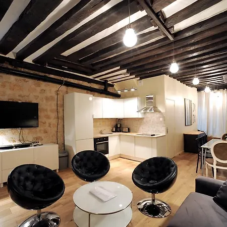 Unique Loft In Le Marais *