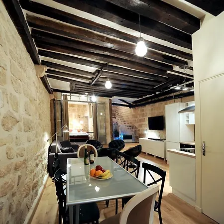 Unique Loft In Le Marais